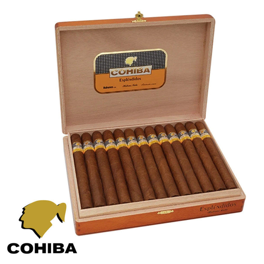 charuto cohiba esplendidos belem