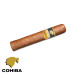 charuto cohiba robustos belem