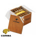 charuto cohiba robustos belem