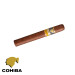 charuto cohiba siglo II belem