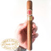 Charuto Romeo y Julieta Churchills belem, Charuto Romeo y Julieta Churchills Pará, Charuto Romeo y Julieta Churchills belem do pará